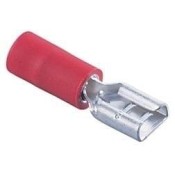 Lattaliitin naaras 6,3mm