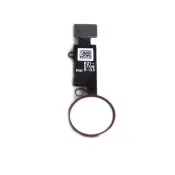 iPhone 8 / 8 Plus koti-näppäin - Kulta