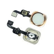 iPhone 6s koti-näppäin (Kulta)