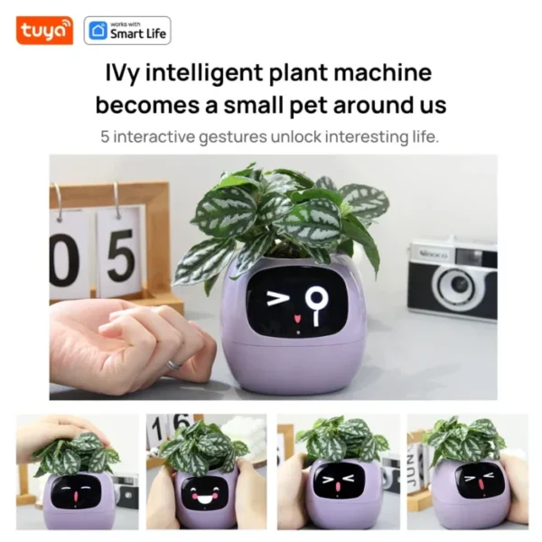 Tuya Ivy Smart Planter,Endless Fun Over 49 Rich Expressions,7 smart sensors,AI Chips Make Raising Plants Easy and Fun 2