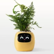 Ivy Smart Planter Endless Fun Over 49 Rich Expressions 7 Smart Sensors And AI Chips Make Raising Plants Easy And Fun 1
