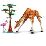 LEGO 31150 Creator 3-in-1 Tiersafari, Konstruktionsspielzeug - Image 4