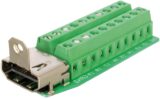 Delock HDMI-naaras → 20-pin terminal block -sovitin (65168)