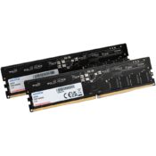 ADATA DIMM 16 GB DDR5-5600 (2x 8 GB) Dual-Kit keskusmuisti